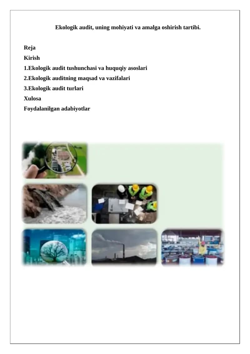 Ekologik audit