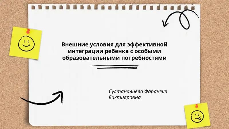Внешние условия для эффективной интеграции ребенка с особыми образовательными потребностями