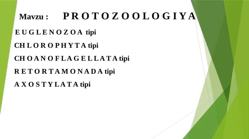 P R O T O Z OOL O G I Y A