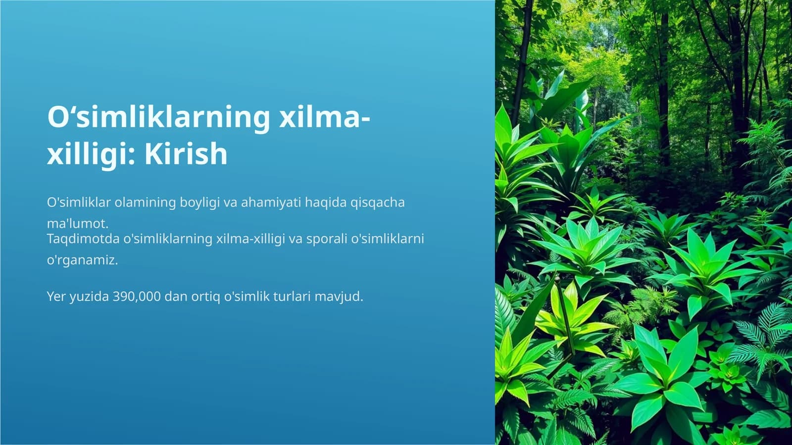 O'simliklarning xilma xilligi