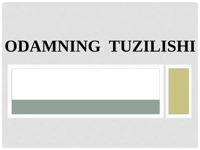 ODAMNING TUZILISHI