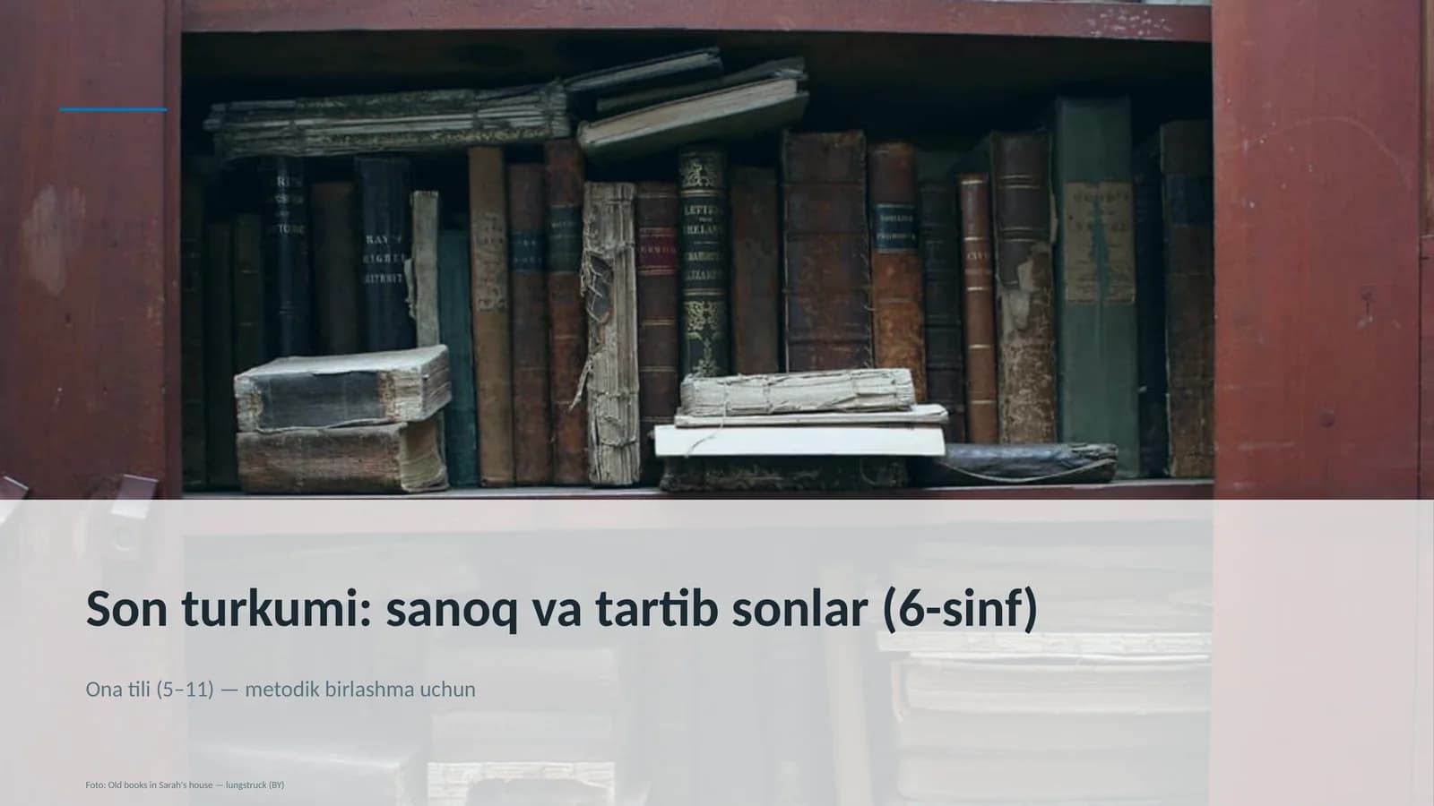 Ona tili (5-11) — metodik birlashma uchun