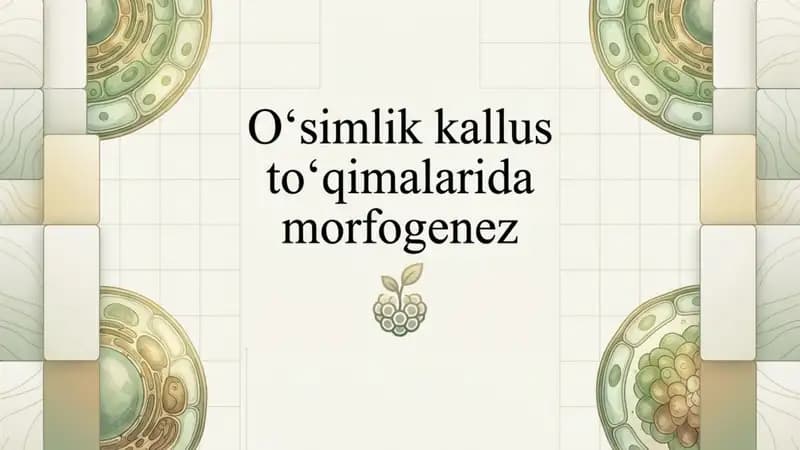 Oʻsimliklar kallus toʻqimalarida morfogenez