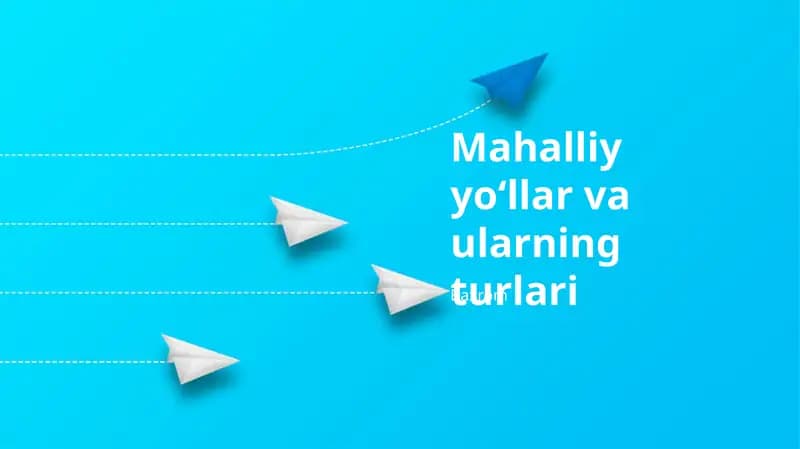 Mahalliy yo'llar va ularning turlari