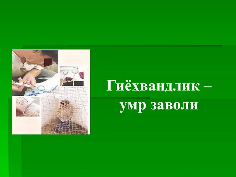 Гиёҳвандлик - умр заволи