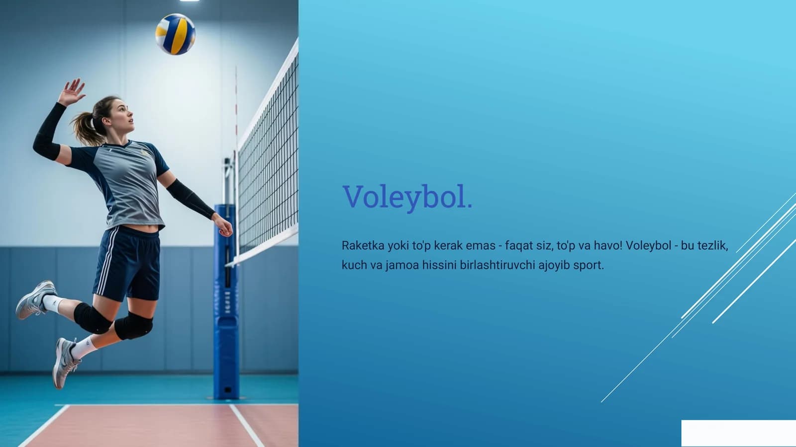 Voleybol