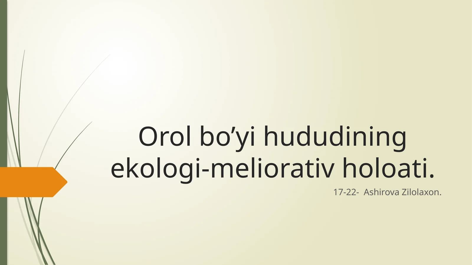 Orol bo’yi hududining ekologi-meliorativ holoati