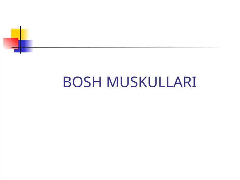 BOSH MUSKULLARI