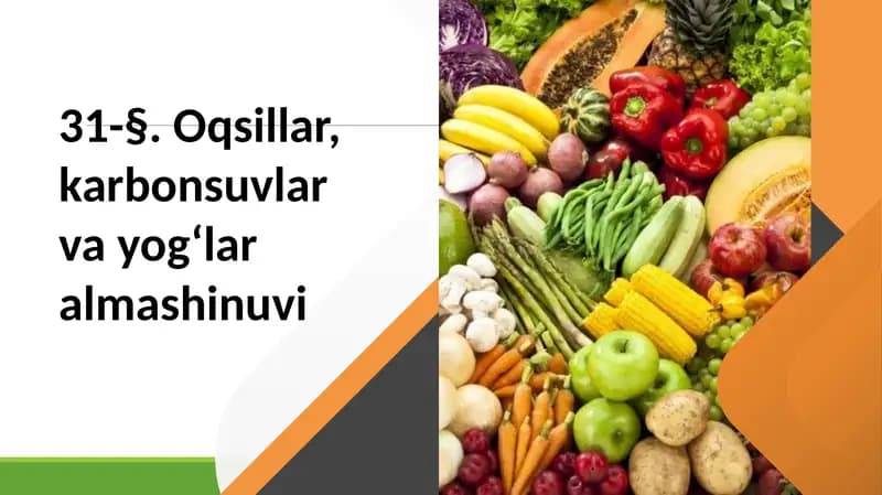 Oqsillar almashinuvi