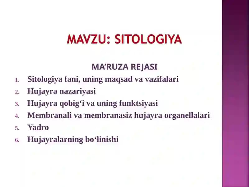 MA’RUZA REJASI