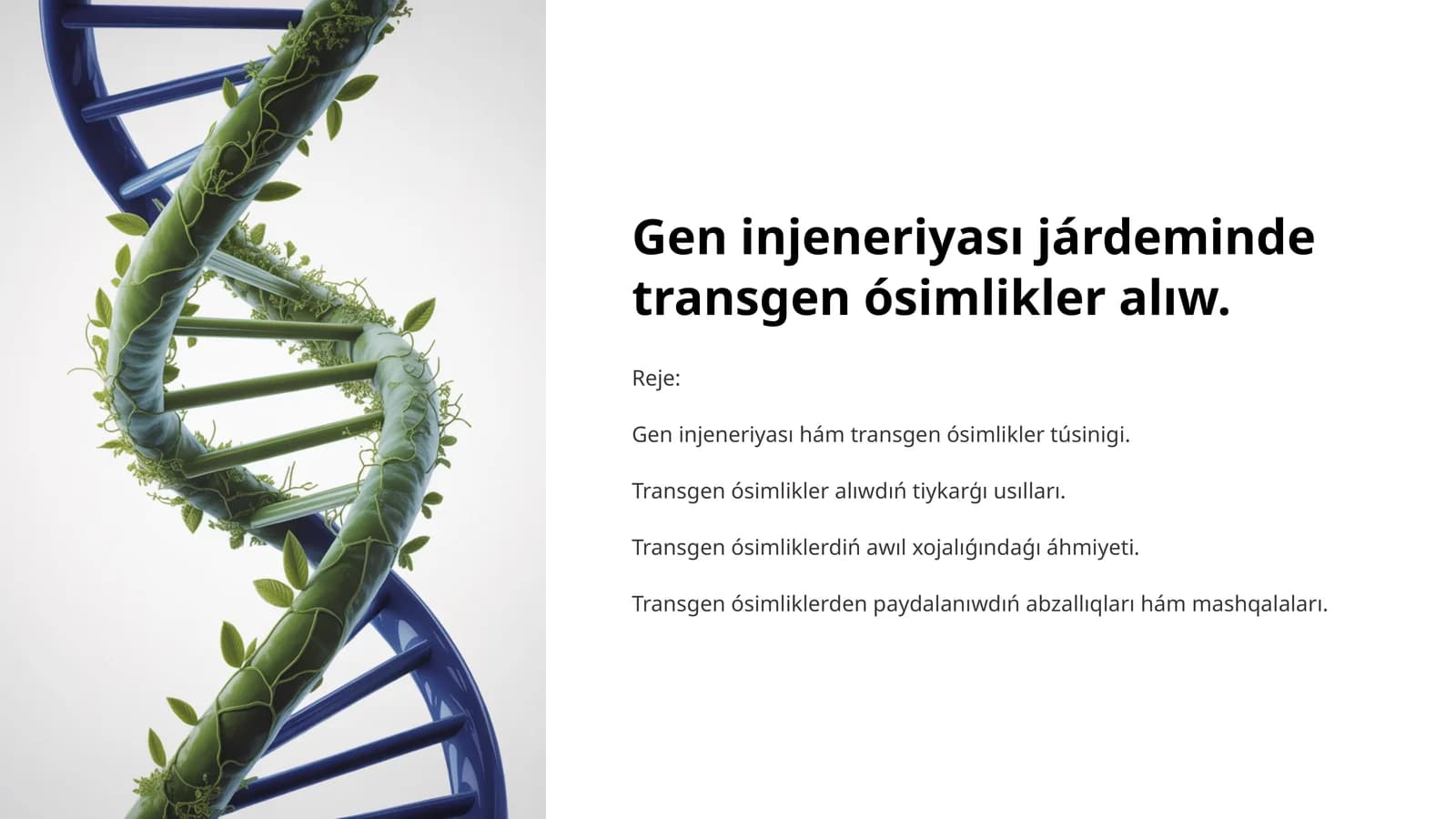 Transgen ósimlikler