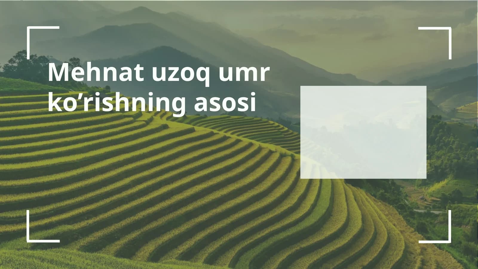 Mehnat uzoqumr ko’rishning asosi