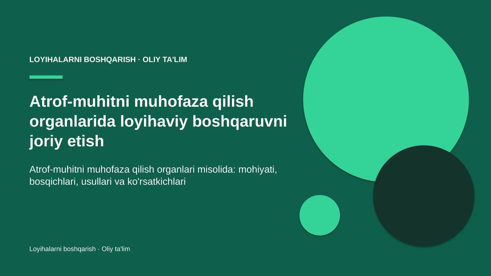 Atrof-muhitni muhofaza qilish organlarida loyihaviy boshqaruvni joriy etish