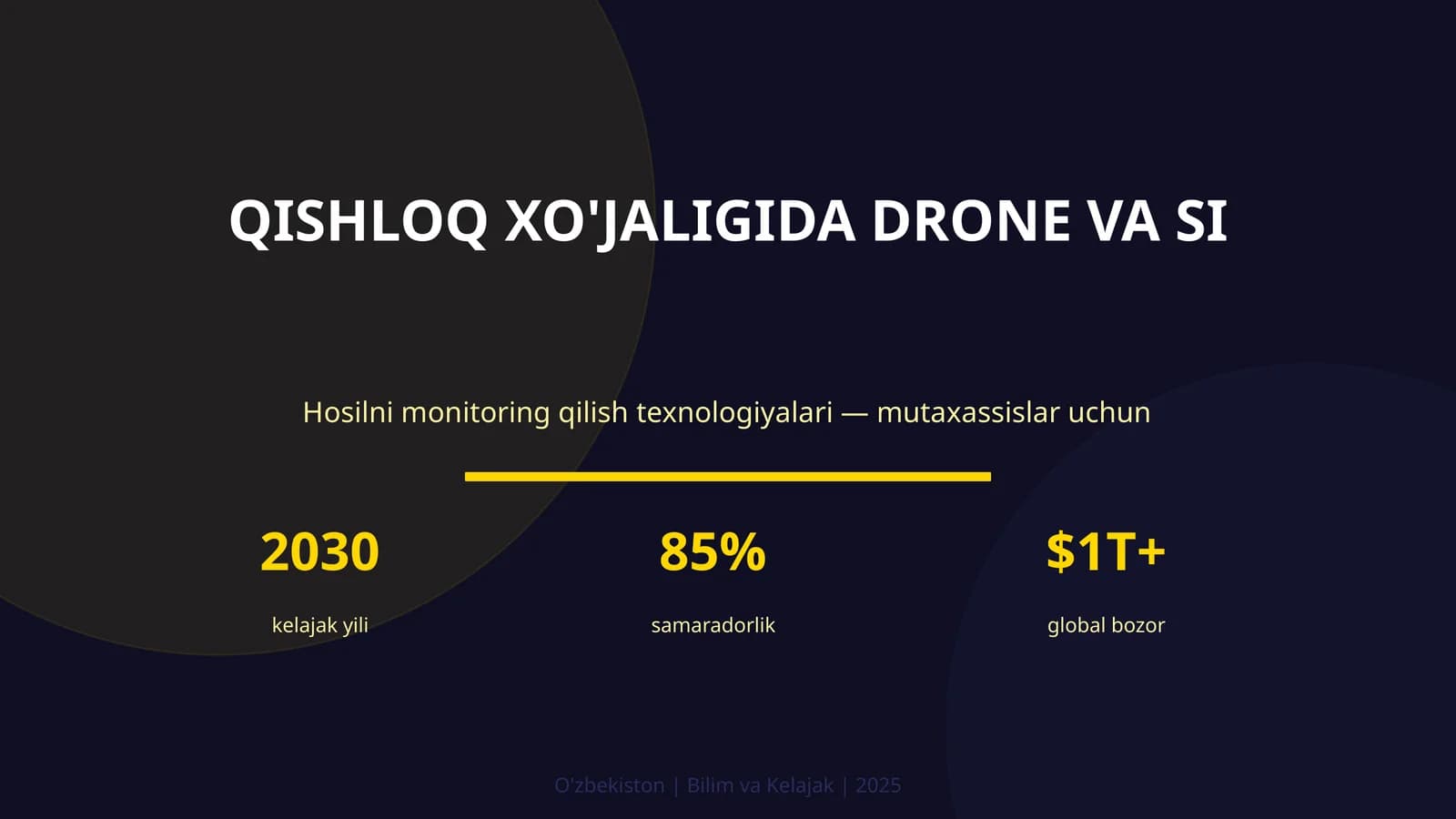 QISHLOQ XO'JALIGIDA DRONE VA SI