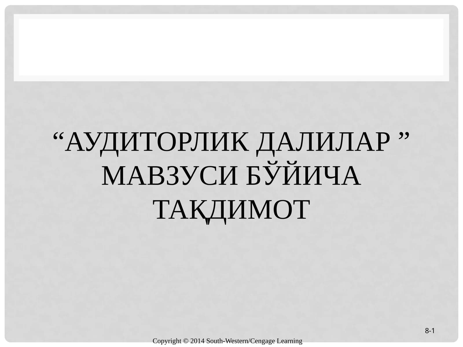аудиторлик далилар