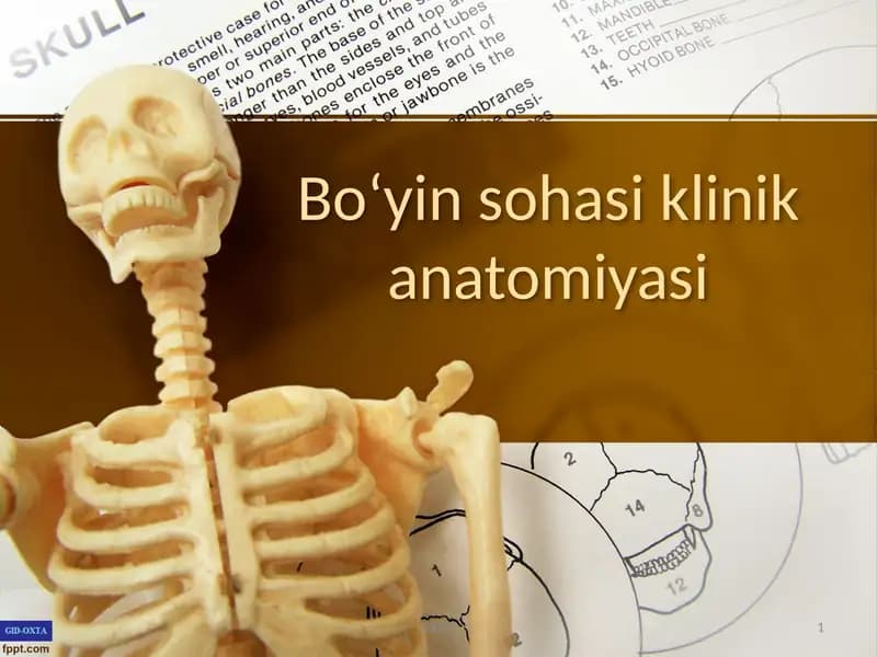 Boʻyin sohasi klinik anatomiyasi
