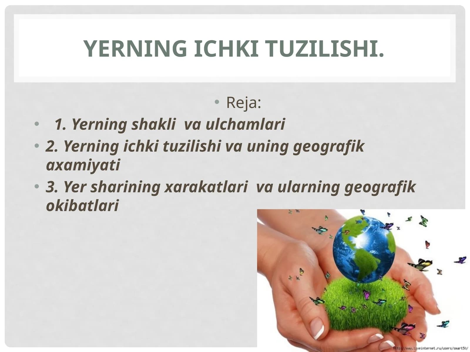 YERNING ICHKItuzilishi