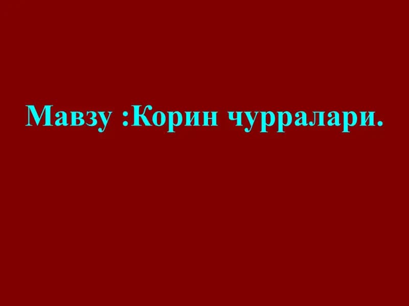 Жигар девори анатомияси