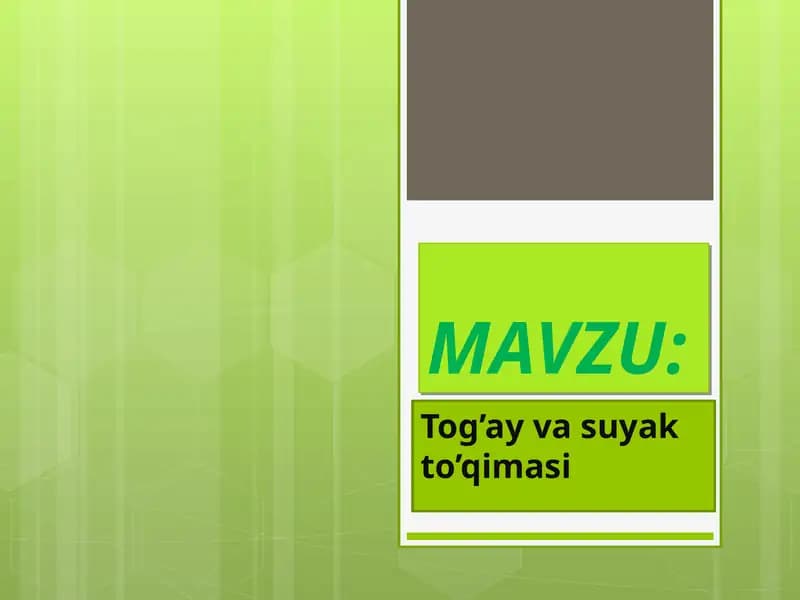 Tog’ay va suyak to’qimasi