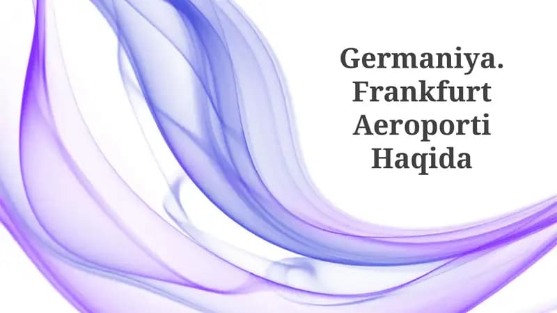Frankfurt Aeroporti Haqida
