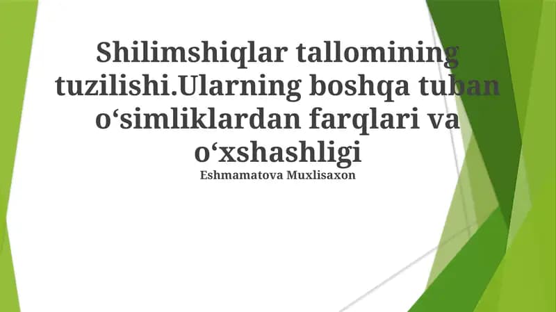Shilimshiqlar Tallomi Tuzuilishi