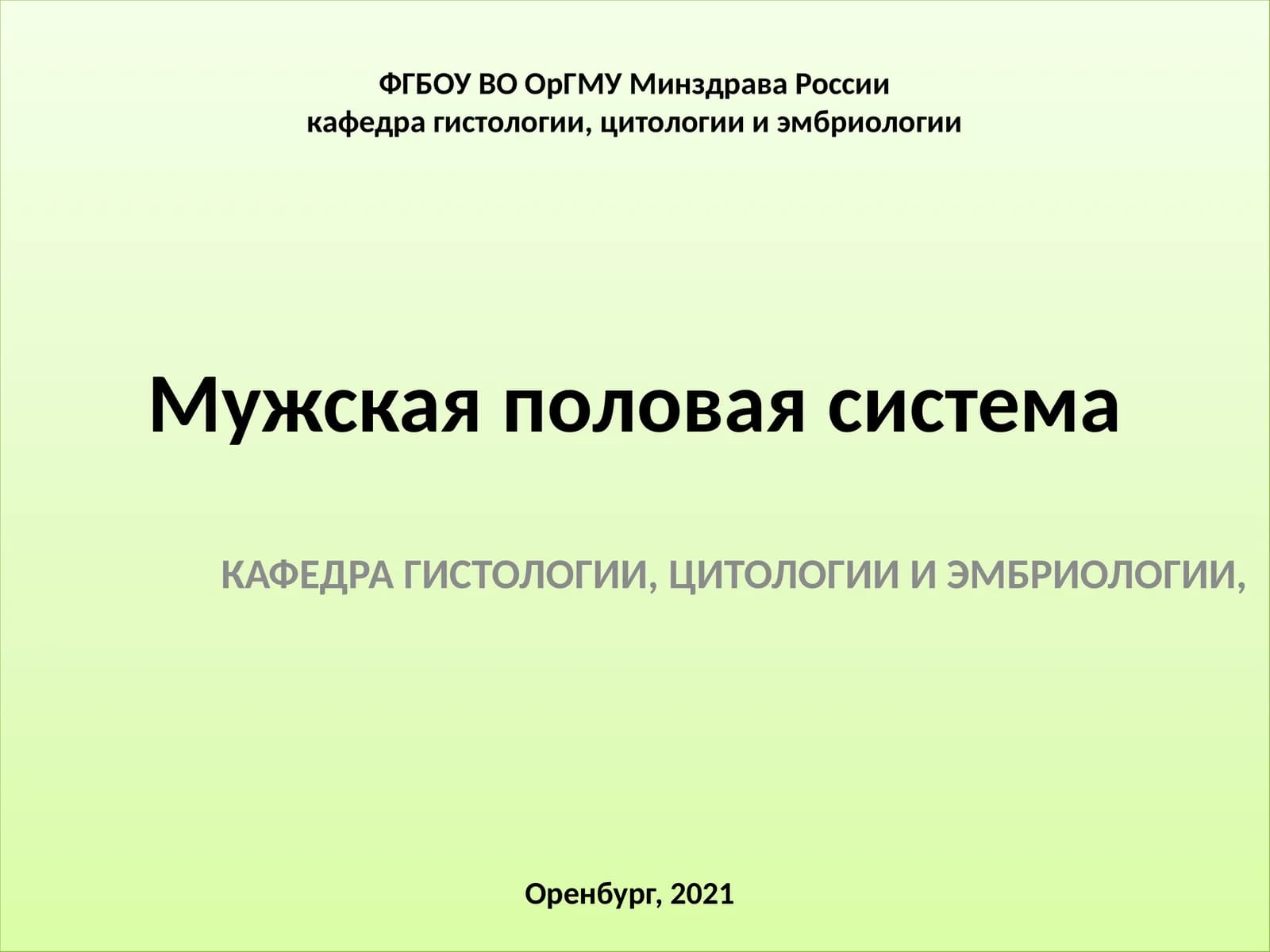 Мужская половая система