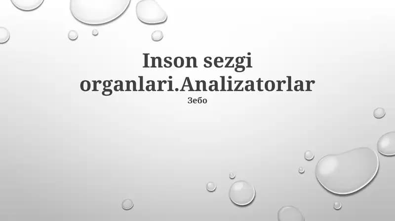 Analizatorlar