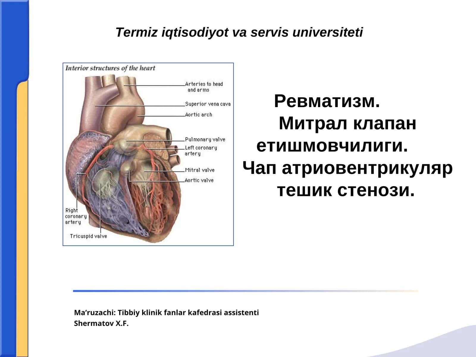 Ревматизм (Сокольский-Буйо касаллиги)