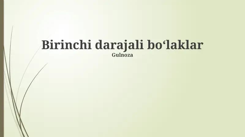 Birinchi Tartibli Parchalar