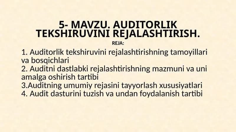 AUDITORLIK TEKSHIRUVINI REJALASHTIRISH