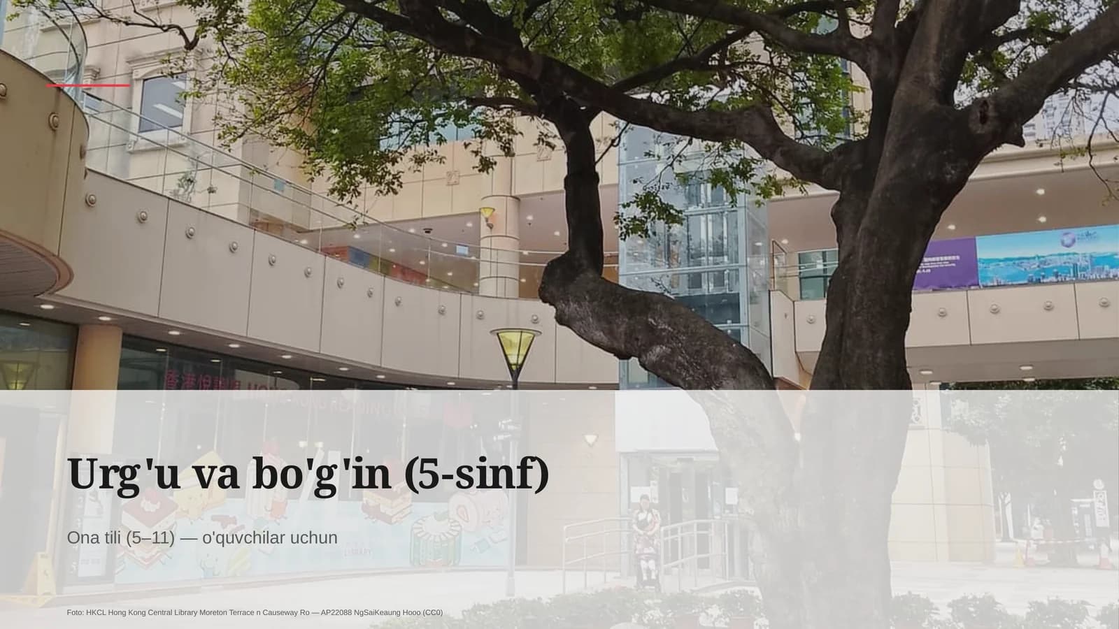 Urg'u va bo'g'in (5-sinf)