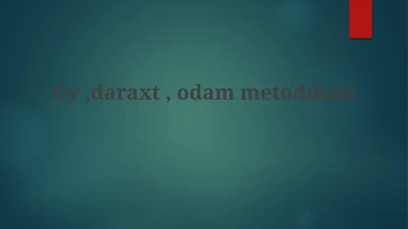 Metodologik Ramkalar