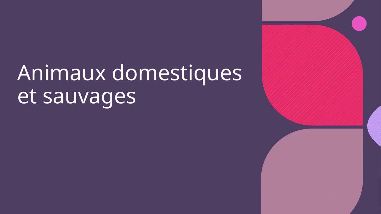 Animaux domestiques et sauvages