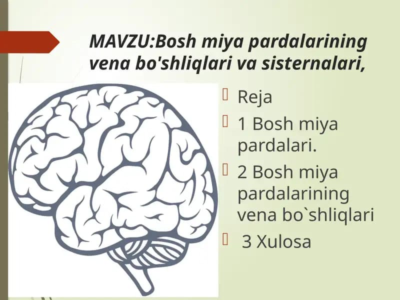 Bosh miya pardalarining vena bo'shliqlari va sisternalari