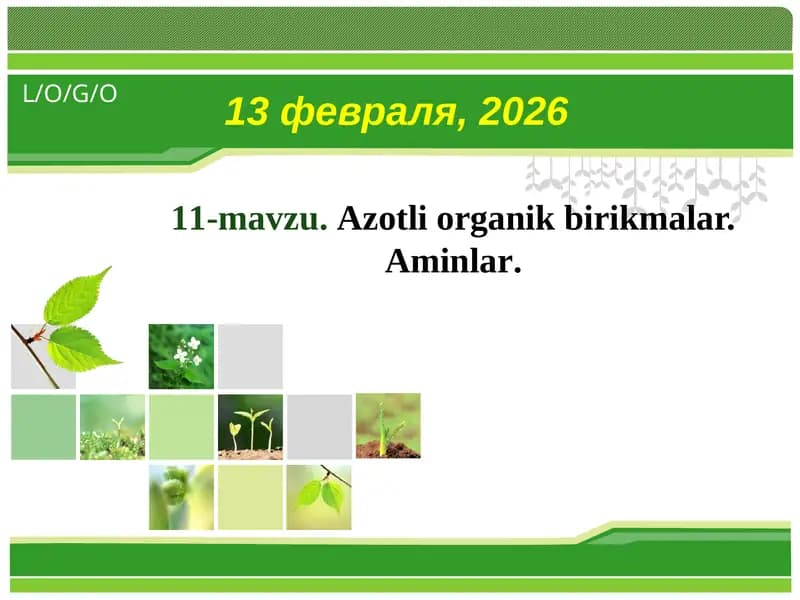 Аzоtli оrgаnik birikmаlаr. Аminlаr