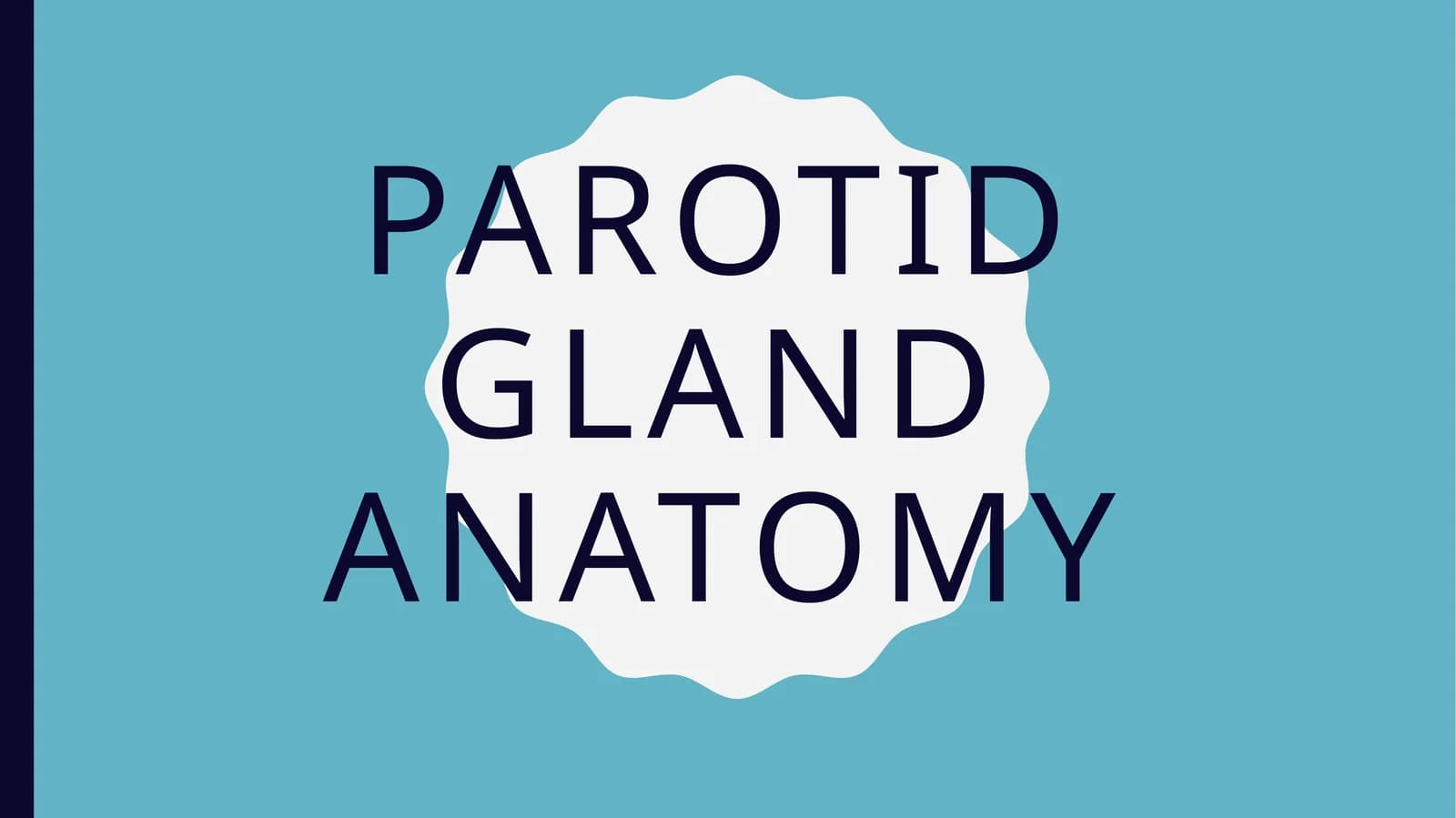 Parotid gland anatomy
