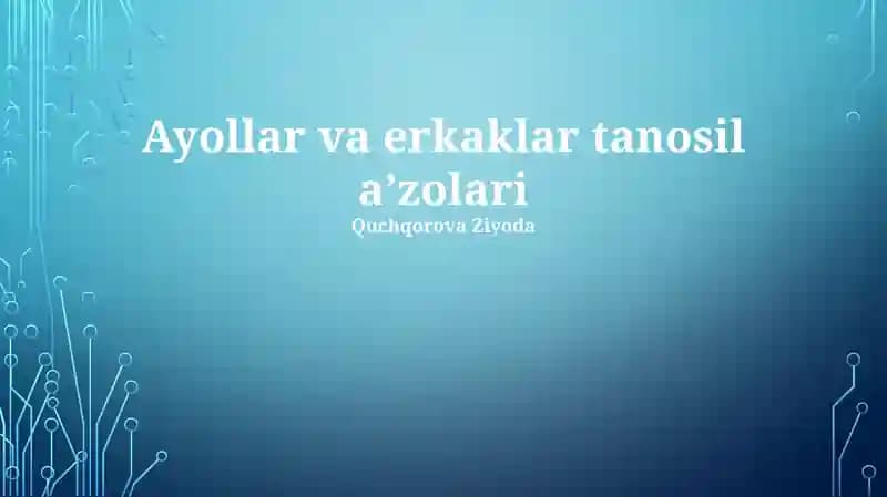 Ayollar va erkaklar tanosil aʼzolari