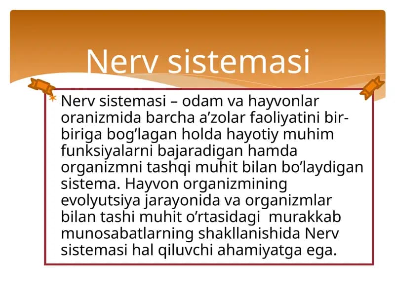 Nervsistemasi