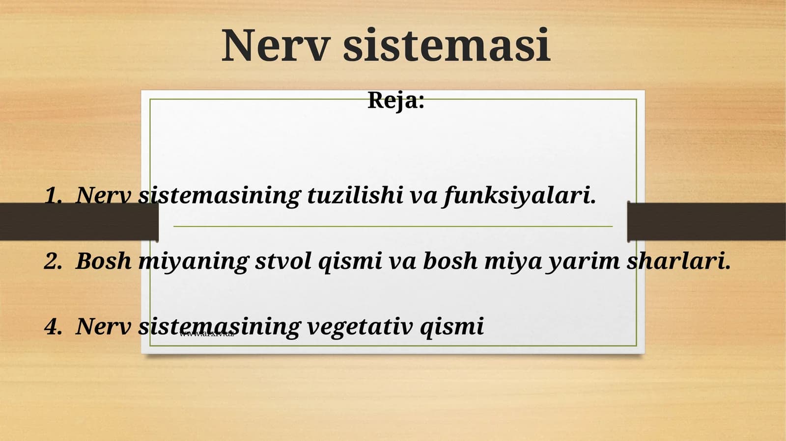 Nеrv sistеmаsi