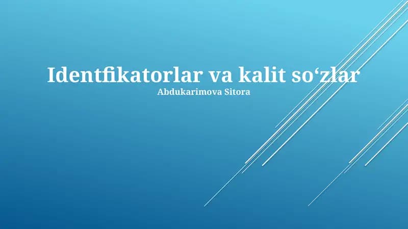 Identifikatorlar va kalit soʻzlar