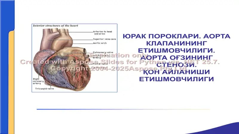 Аорта клапанининг етишмовчилиги