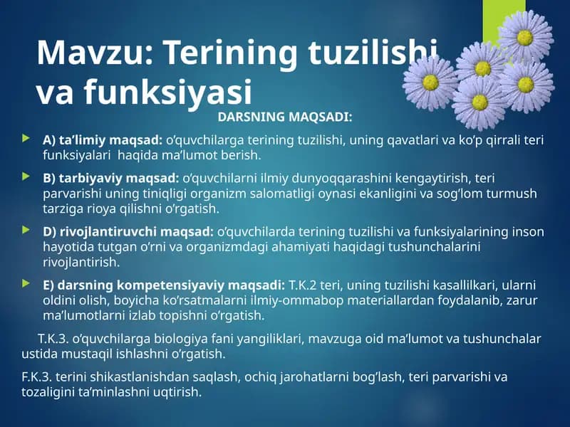 Terining tuzilishi va funksiyasi