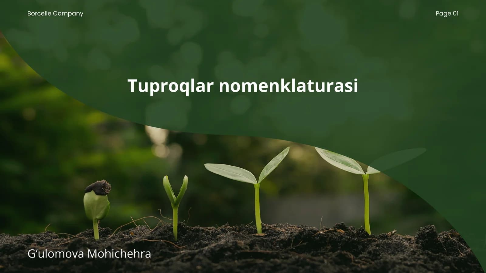 Tuproqlar nomenklaturasi