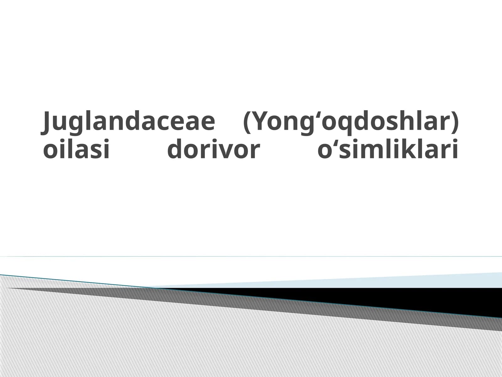 Yongʻoqdoshlar oilasi