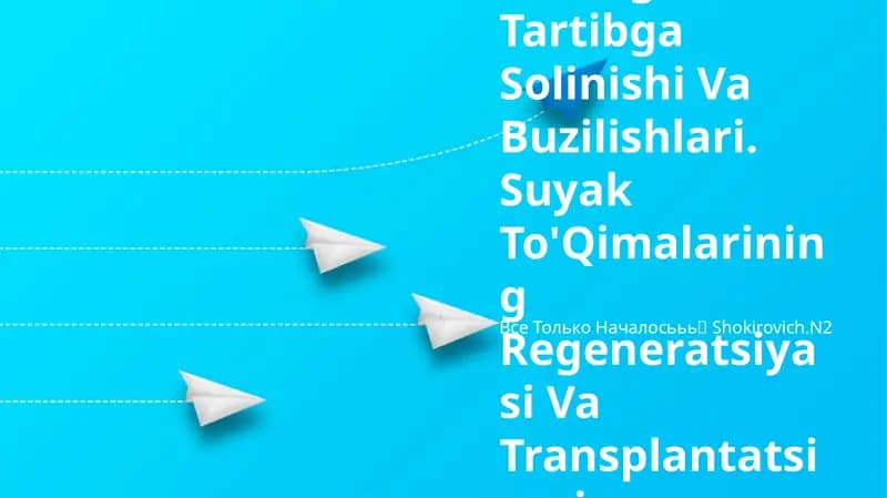 Suyak To'Qimalarining Minerallashuvi