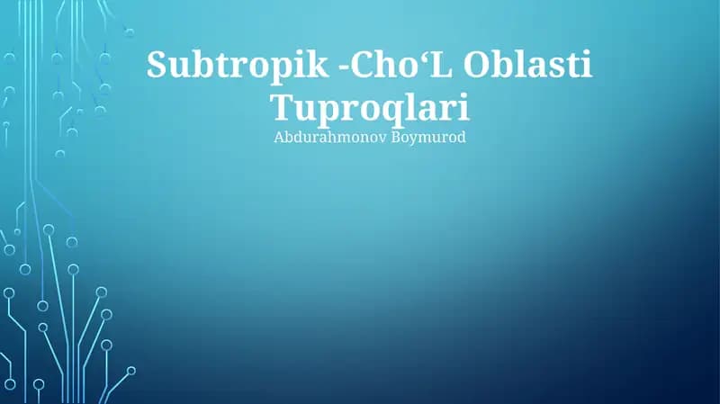 Subtropik choʻl tuproqlari