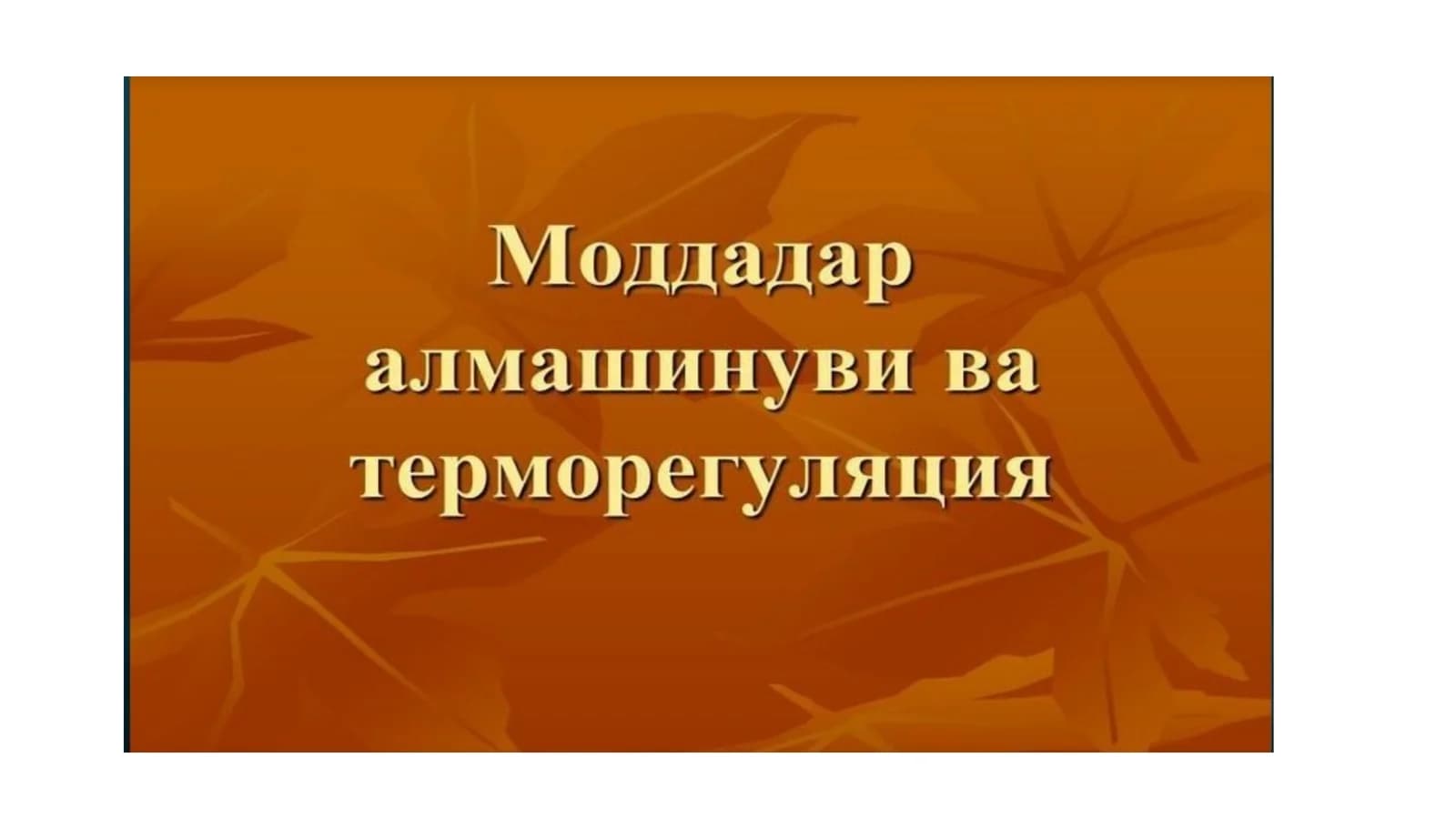 ПЛАСТИК АЛМАШИНУВ