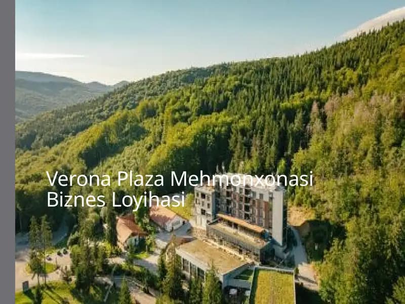 Verona Plaza Mehmonxonasi Biznes Loyihasi