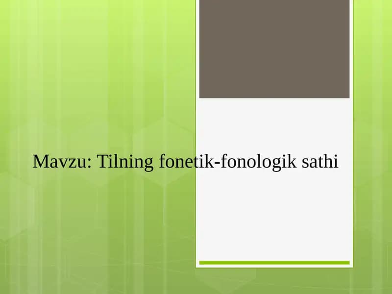 Tilning fonetik-fonologik sathi