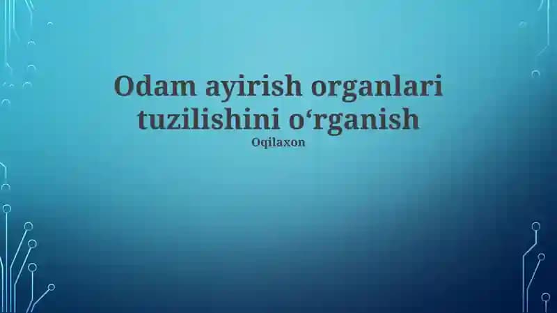 Endokrin Sistema
